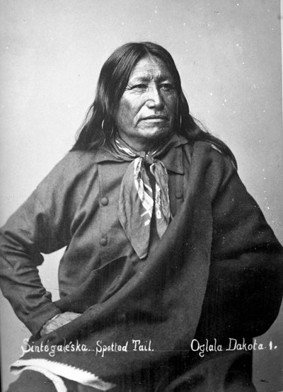 Sintegaleska, Spotted Tail, Oglala Dakota I by David Frances Barry